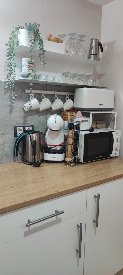 Ferienwohnung El Niuet De Cal Cacuet, La Teva Escapada Rural. Aviá Exterior foto