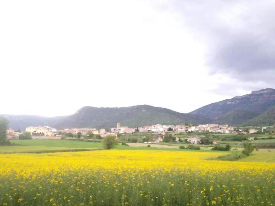 Ferienwohnung El Niuet De Cal Cacuet, La Teva Escapada Rural. Aviá Exterior foto