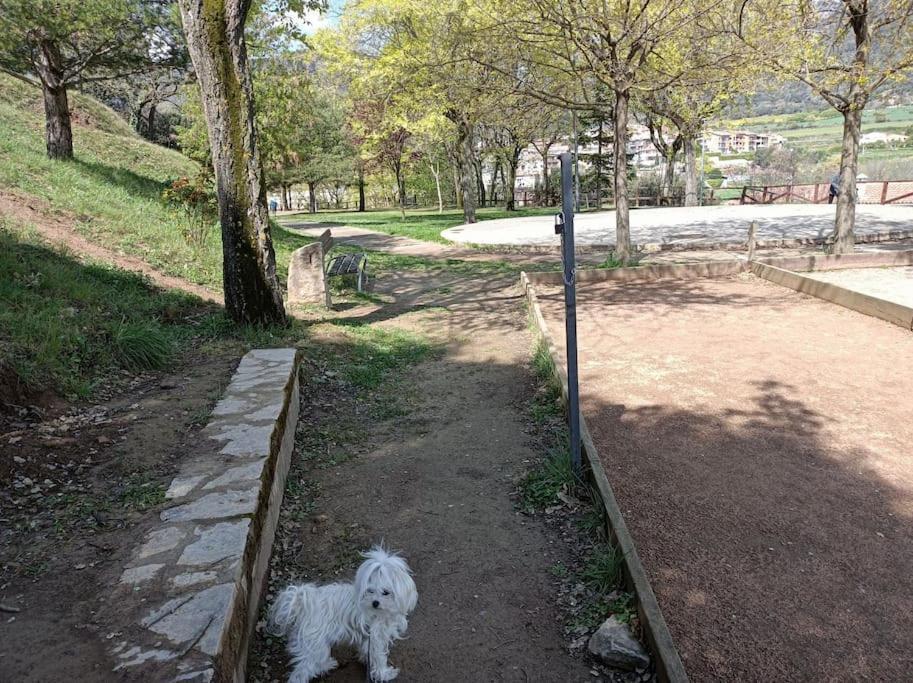 Ferienwohnung El Niuet De Cal Cacuet, La Teva Escapada Rural. Aviá Exterior foto